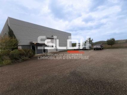 Activités A LOUER - LUZINAY - 481 m²