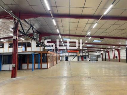 Activités A LOUER - RILLIEUX LA PAPE - 3 200 m²