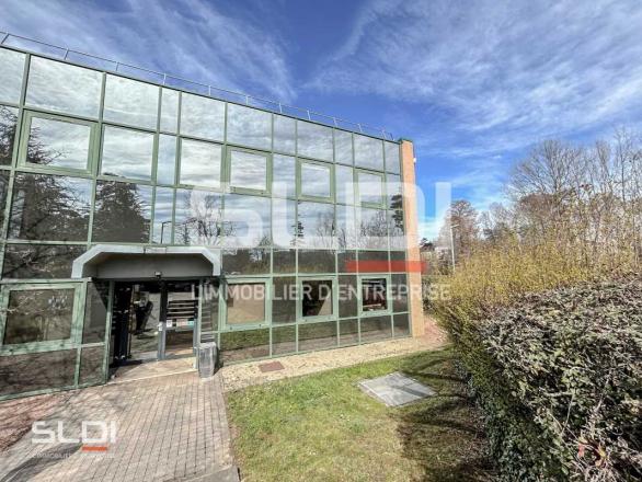 Bureaux A LOUER - LIMONEST - 916 m²