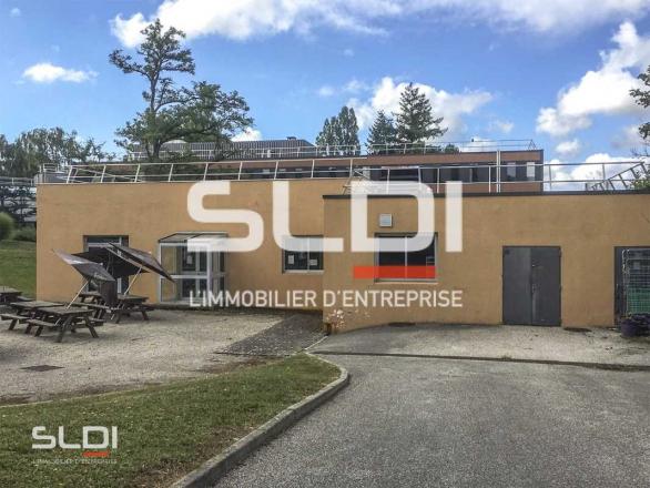 Bureaux A LOUER - DARDILLY - 450 m²