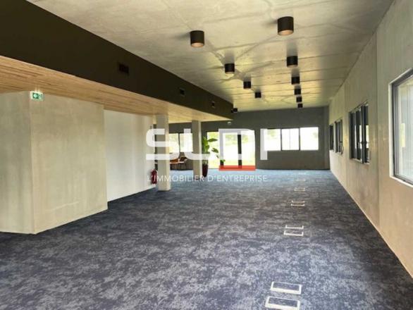 Bureaux A VENDRE OU A LOUER - RILLIEUX LA PAPE - 850 m²