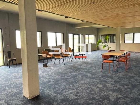 Bureaux A VENDRE OU A LOUER - RILLIEUX LA PAPE - 850 m²