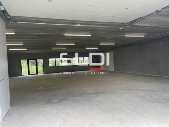 Activités A VENDRE OU A LOUER - RILLIEUX LA PAPE - 232 m²