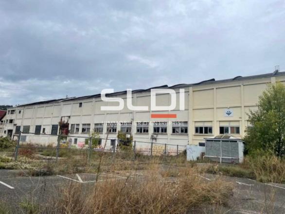 Activités A VENDRE - GIVORS - 4 387 m²