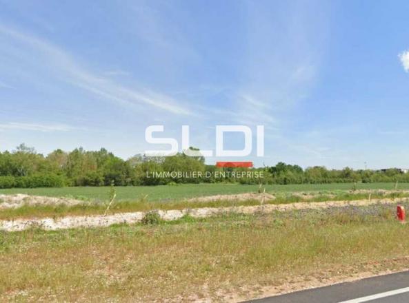 Terrains A VENDRE - SAINT VULBAS - 10 000 m²