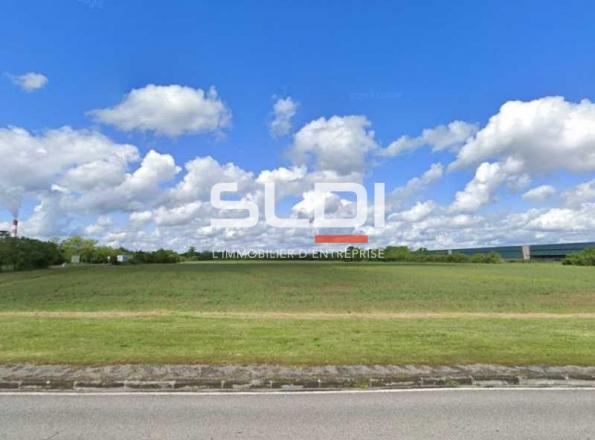 Terrains A VENDRE - SAINT VULBAS - 10 000 m²