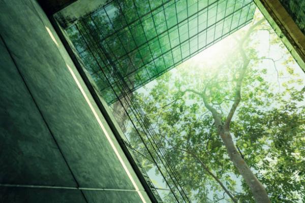 Valorisation des actifs immobiliers face au décret tertiaire