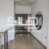 Activités A LOUER - DECINES CHARPIEU - 2 300 m²