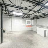 Activités A LOUER - SAINT PRIEST - 500 m²