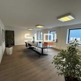 Activités A LOUER - BLYES - 1 267 m²