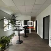 Activités A LOUER - BLYES - 1 267 m²