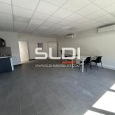 Locaux d'activités A LOUER - FLEURIEU SUR SAONE - 873 m²