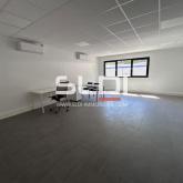 Locaux d'activités A LOUER - FLEURIEU SUR SAONE - 873 m²