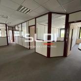 Bureaux A LOUER - DARDILLY - 351 m²