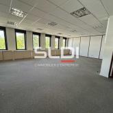 Bureaux A LOUER - DARDILLY - 351 m²