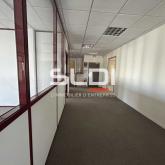 Bureaux A LOUER - DARDILLY - 351 m²