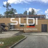 Bureaux A LOUER - DARDILLY - 450 m²