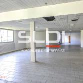 Bureaux A LOUER - DARDILLY - 450 m²