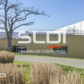 Bureaux A LOUER - DARDILLY - 450 m²