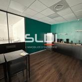 Bureaux A LOUER - CHAMPAGNE AU MONT D'OR - 1 069 m²