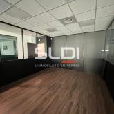 Bureaux A LOUER - CHAMPAGNE AU MONT D'OR - 1 069 m²