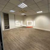 Bureaux A LOUER - CHAMPAGNE AU MONT D'OR - 482 m²