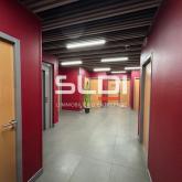 Bureaux A LOUER - CHAMPAGNE AU MONT D'OR - 1 069 m²