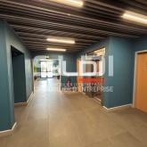 Bureaux A LOUER - CHAMPAGNE AU MONT D'OR - 482 m²