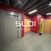 Bureaux A LOUER - CHAMPAGNE AU MONT D'OR - 1 069 m²