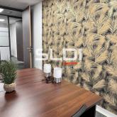 Bureaux A LOUER - CALUIRE ET CUIRE - 226 m²
