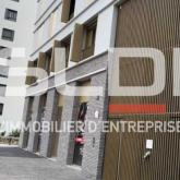 Bureaux A LOUER - VILLEURBANNE - 243 m²