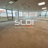Bureaux A LOUER - LYON - 2 350 m² Bureaux A LOUER - LYON - 2 350 m²