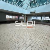 Bureaux A LOUER - LYON - 2 350 m² Bureaux A LOUER - LYON - 2 350 m²