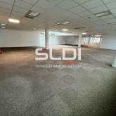 Bureaux A LOUER - LYON - 2 350 m² Bureaux A LOUER - LYON - 2 350 m²