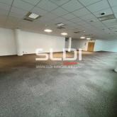 Bureaux A LOUER - LYON - 2 350 m² Bureaux A LOUER - LYON - 2 350 m²