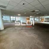 Bureaux A LOUER - LYON - 2 350 m² Bureaux A LOUER - LYON - 2 350 m²