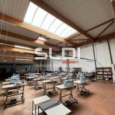 Locaux d'activités A LOUER - DECINES CHARPIEU - 1 926 m²