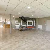 Activités A LOUER - MIRIBEL - 9 623 m²