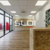 Activités A LOUER - MIRIBEL - 9 623 m²