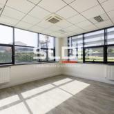 Activités A LOUER - MIRIBEL - 9 623 m²