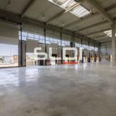 Activités A LOUER - MIRIBEL - 9 623 m²