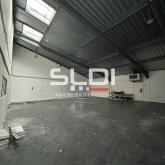 Activités A LOUER - DARDILLY - 267 m²