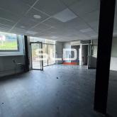 Activités A LOUER - DARDILLY - 267 m²