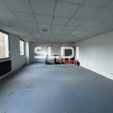 Activités A LOUER - DARDILLY - 267 m²