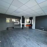 Activités A LOUER - DARDILLY - 267 m²