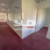 Bureaux A LOUER - BRON - 255 m²