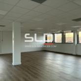 Bureaux A LOUER - BRON - 255 m²