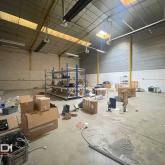 Activités A LOUER - CHASSIEU - 900 m²