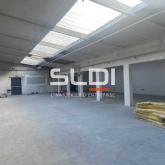 Activités A LOUER - VILLEURBANNE - 800 m²