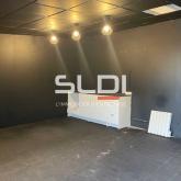 Activités A LOUER - VILLEURBANNE - 800 m²